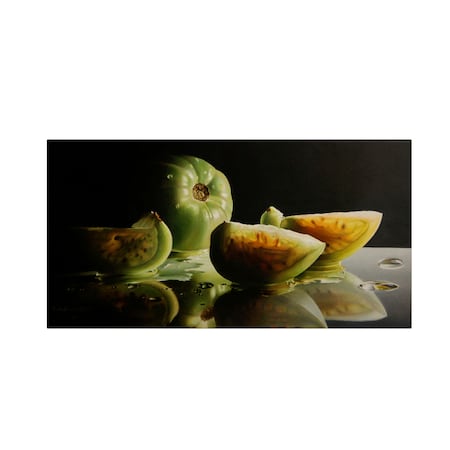 Cecile Baird 'Ripening' Canvas Art,24x47